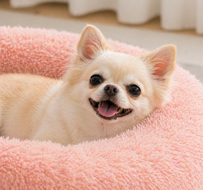 Cozy Donut Pet Bed