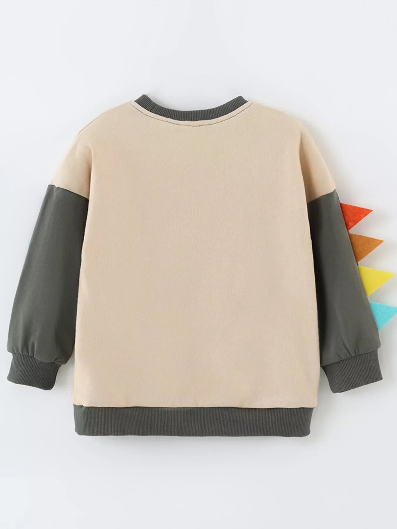 Children's Dinosaur Sweatshirt