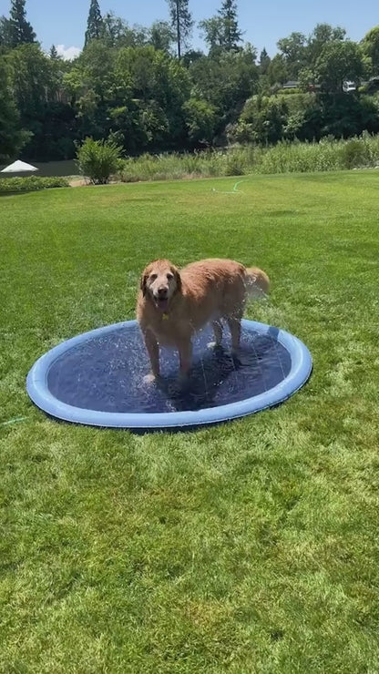 Dog Splash Sprinkler Pad