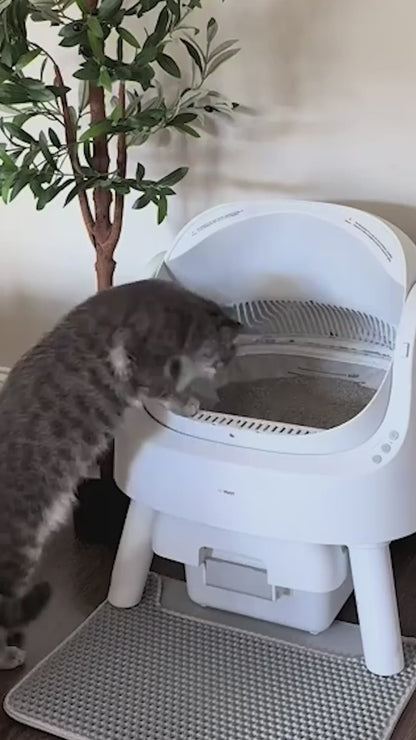 PetPivot AS11 Open-Top Automatic Self Cleaning Cat Litter Box