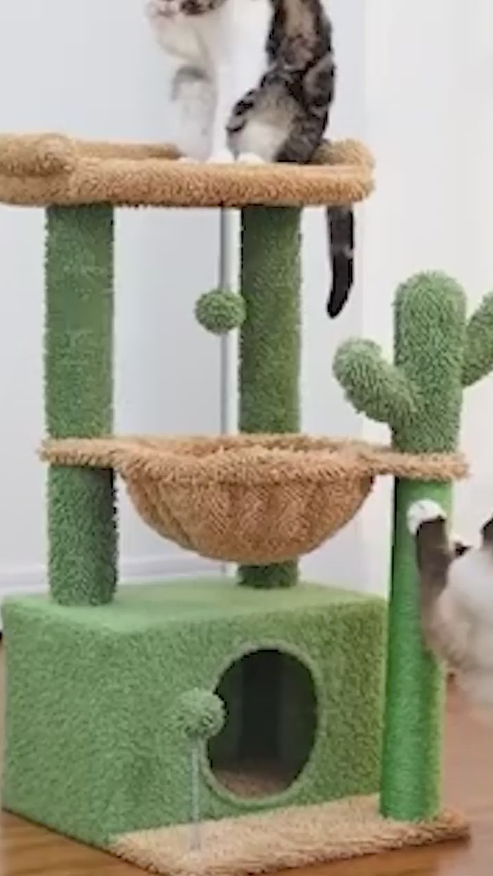 3 Cactus Cat Tree Cat Tower-h.mp4