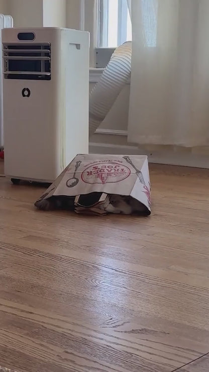 1-H Cozy Plush Pet Tunnel Nest.mp4