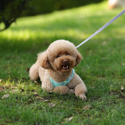 Reflective Mesh Harness & Leash Set
